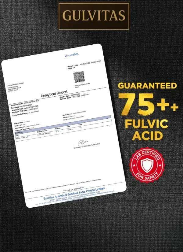 Untitled design (3).webp